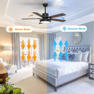 816vgPL5WHL._AC_SL1500_ 816vgPL5WHL._AC_SL1500_